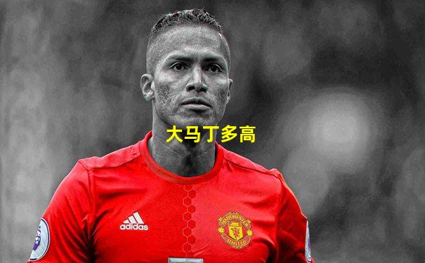 大马丁多高